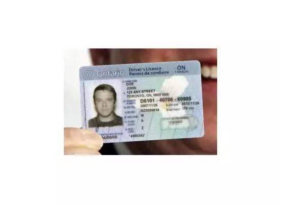 Buy Canadian Drivers License