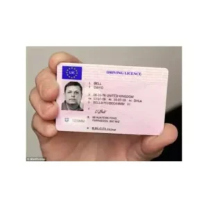 Buy Icelandic Driver License Online