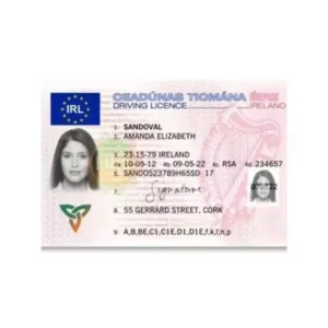 Buy Irish Drivers License